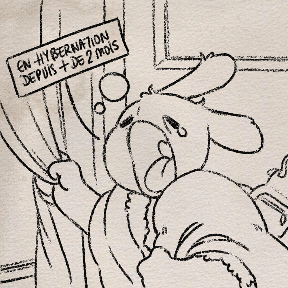 Page du mini strip : Le retour.